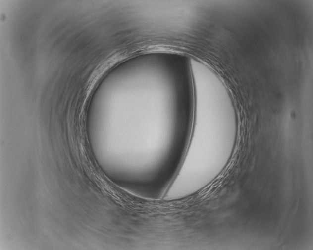 X0000057100289200509090919