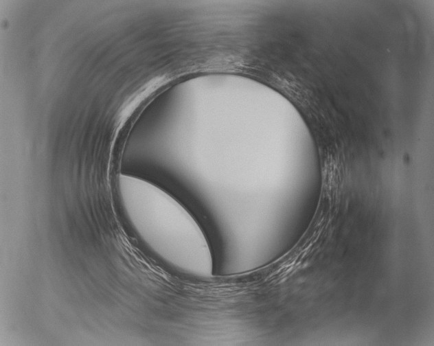 X0000057100292200509090919