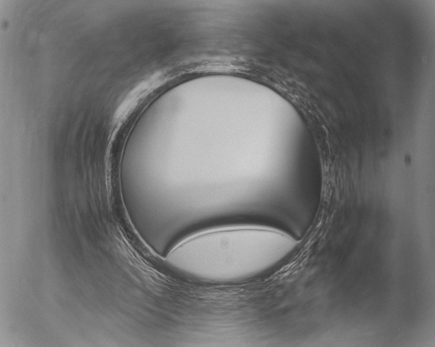 X0000057100296200509090919