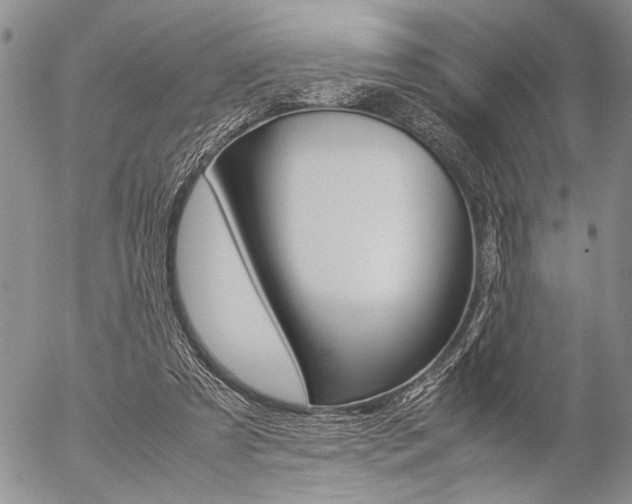 X0000057100305200509090919