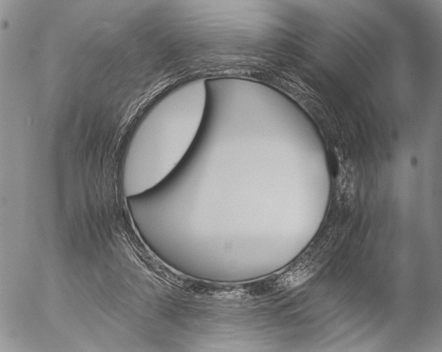X0000057100306200509090919