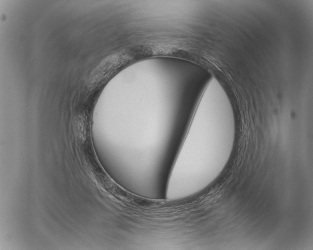 X0000057100311200509090919