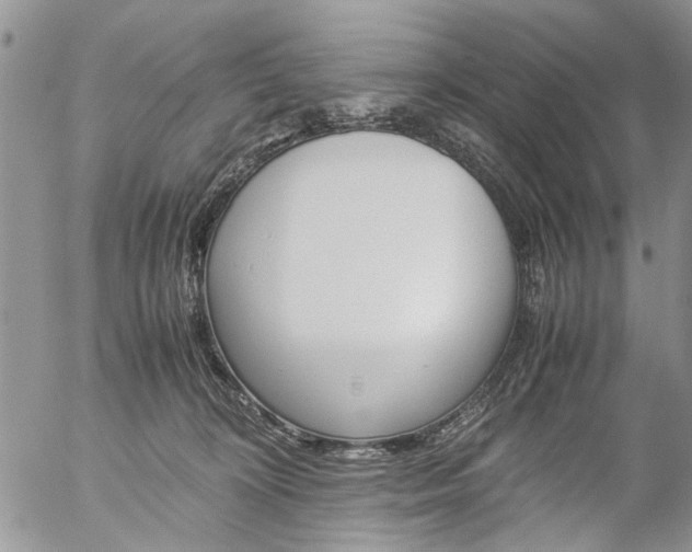 X0000057100324200509090919