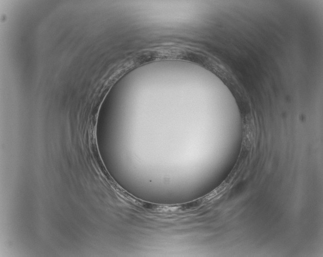 X0000057100333200509090919