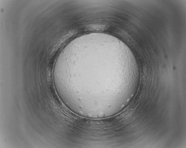 X0000057100355200509090918