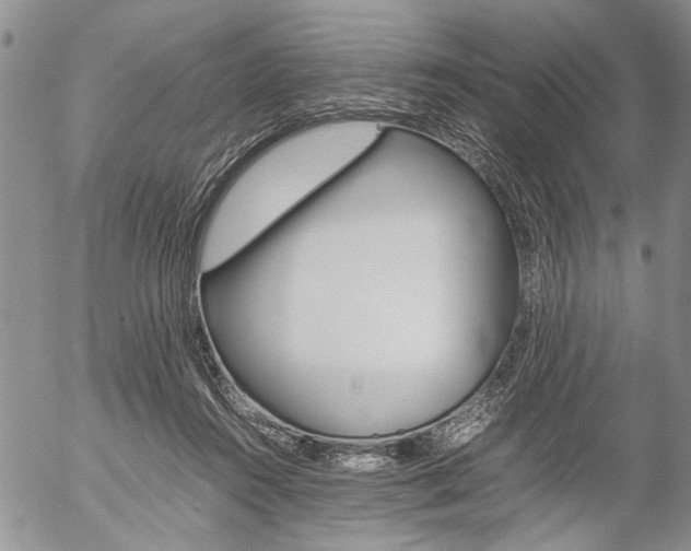 X0000057100360200509090918