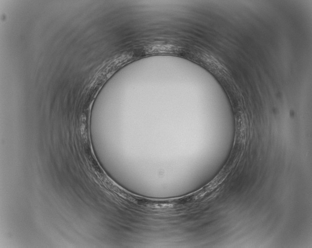 X0000057100361200509090918