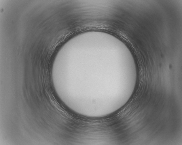 X0000057100362200509090918