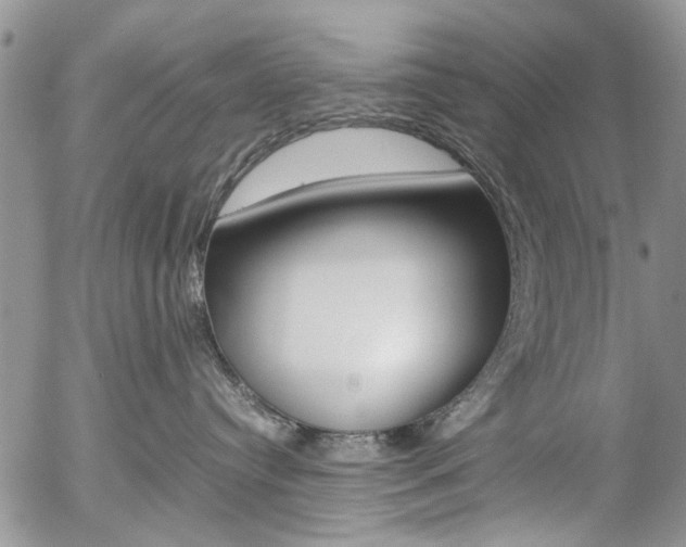 X0000057100384200509090919