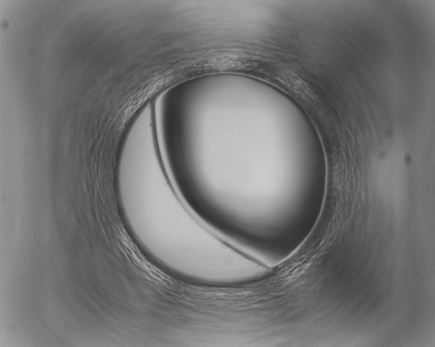 X0000057100393200509090918