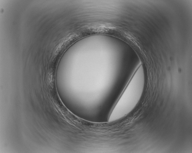 X0000057100407200509090918