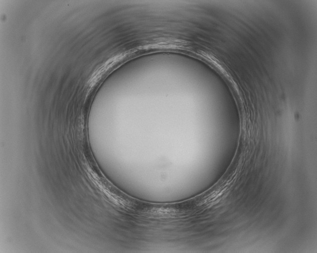 X0000057100437200509090916