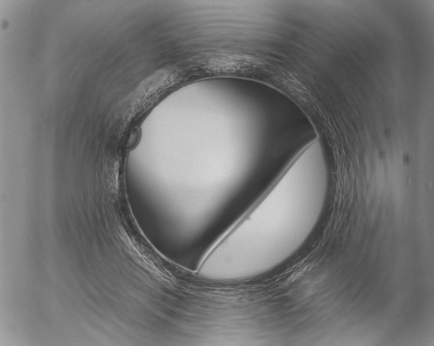 X0000057100454200509090917