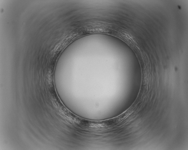 X0000057100457200509090917