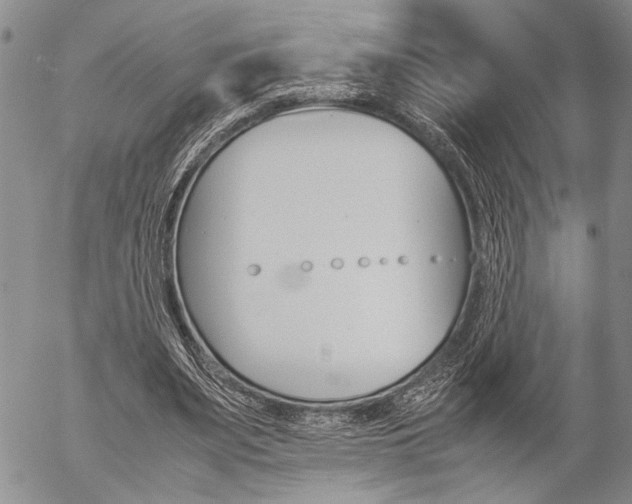 X0000057100487200509090916