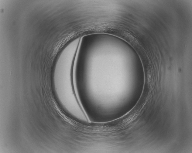 X0000057100493200509090916