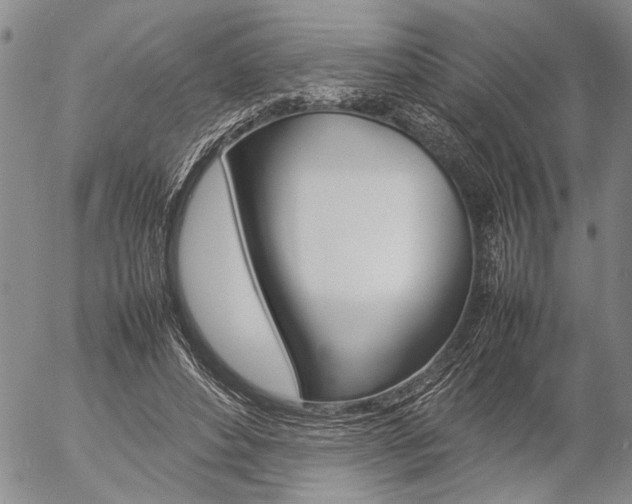 X0000057100496200509090916