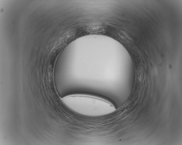 X0000057100515200509090916