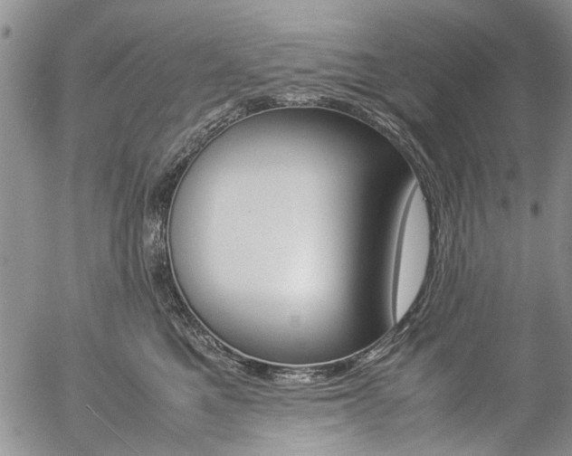 X0000057100521200509090916