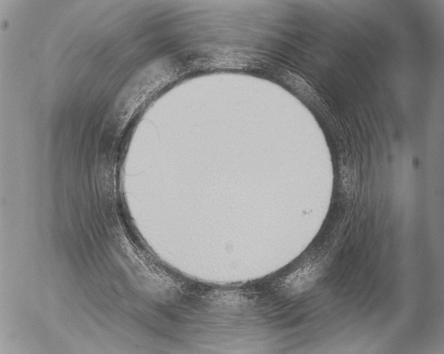 X0000057100534200509090915