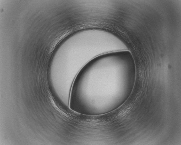 X0000057100538200509090915