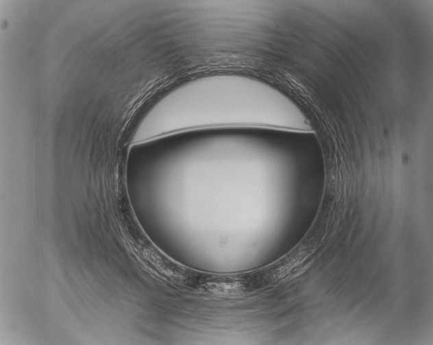 X0000057100552200509090915
