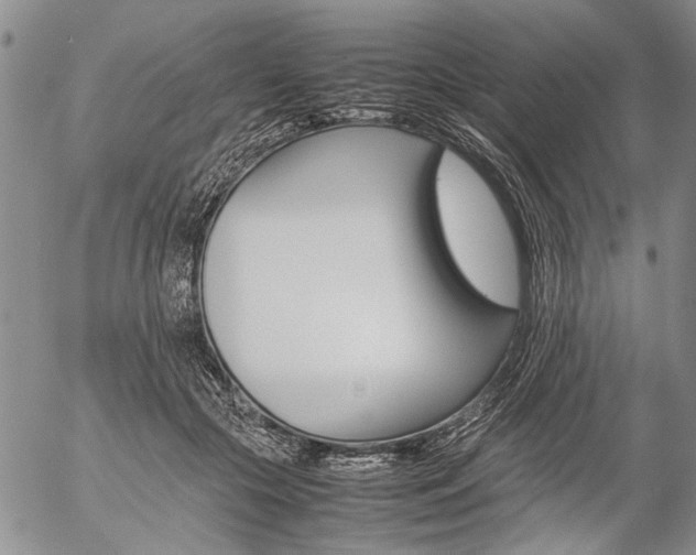 X0000057100553200509090915