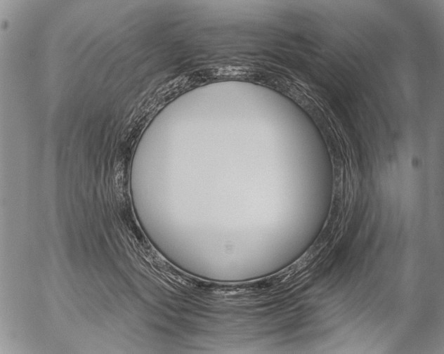 X0000057100557200509090915