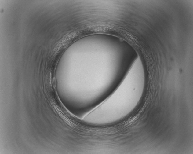 X0000057100589200509090915