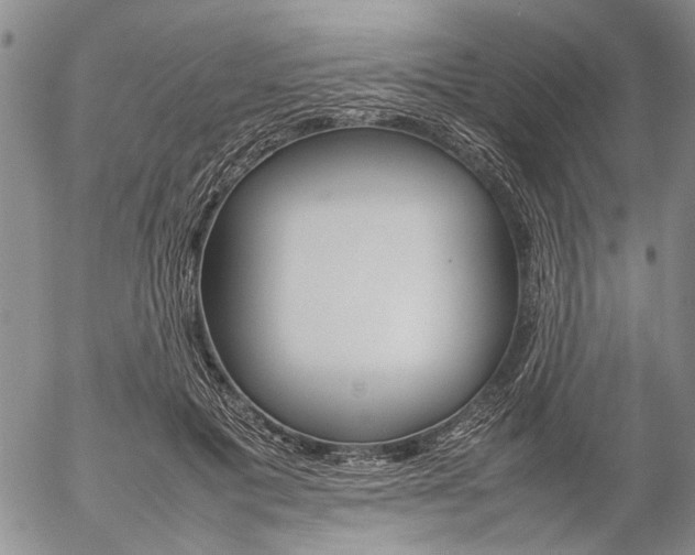 X0000057100601200509090914