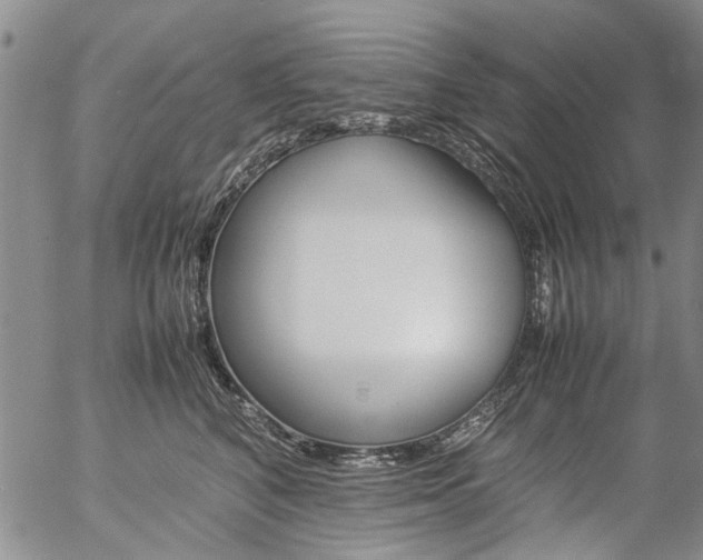 X0000057100616200509090914