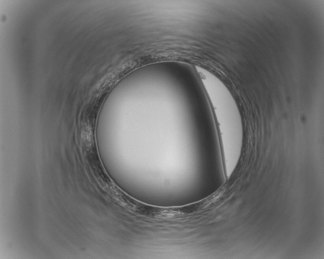 X0000057100617200509090914