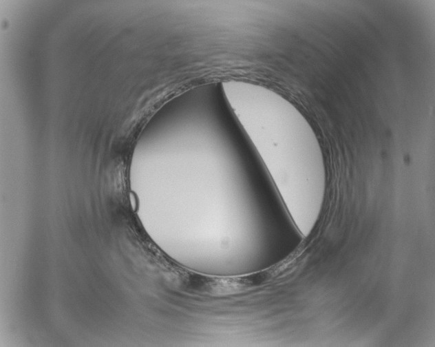 X0000057100623200509090914
