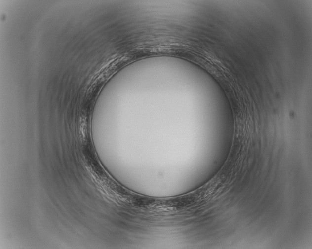 X0000057100648200509090914
