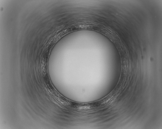 X0000057100653200509090914