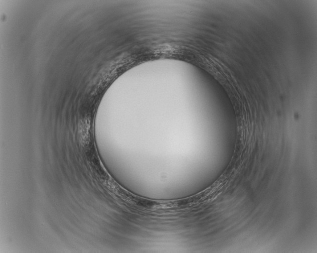 X0000057100660200509090914
