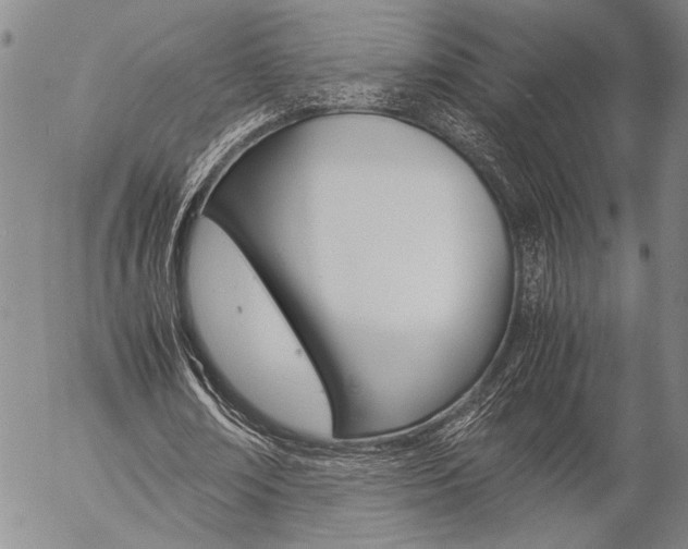 X0000057100674200509090913