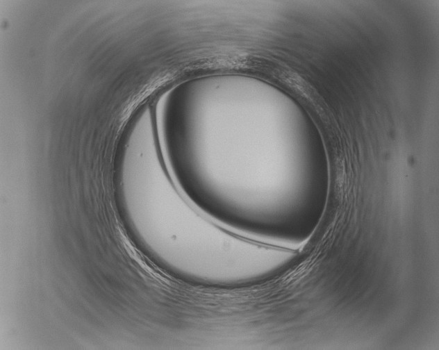 X0000057100677200509090913