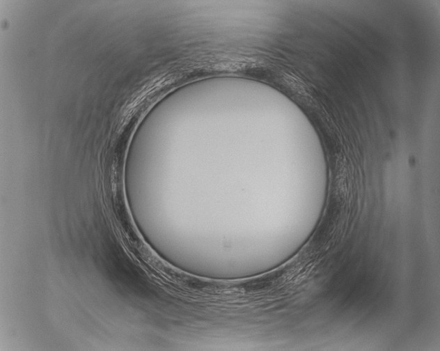 X0000057100683200509090913