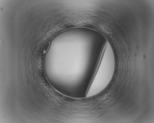 X0000057100689200509090913