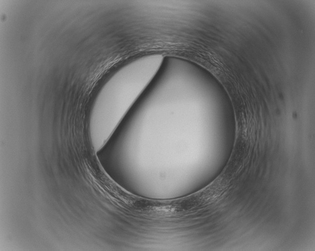 X0000057100692200509090913