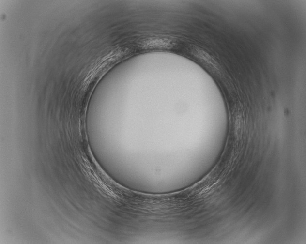 X0000057100729200509090912