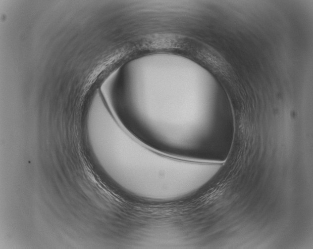 X0000057100732200509090912