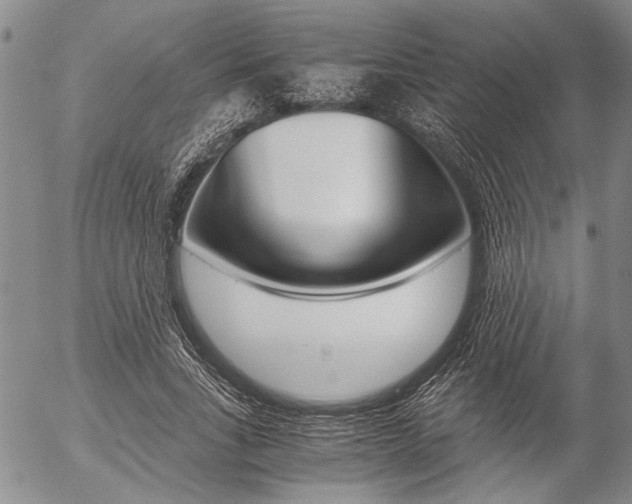 X0000057100735200509090912