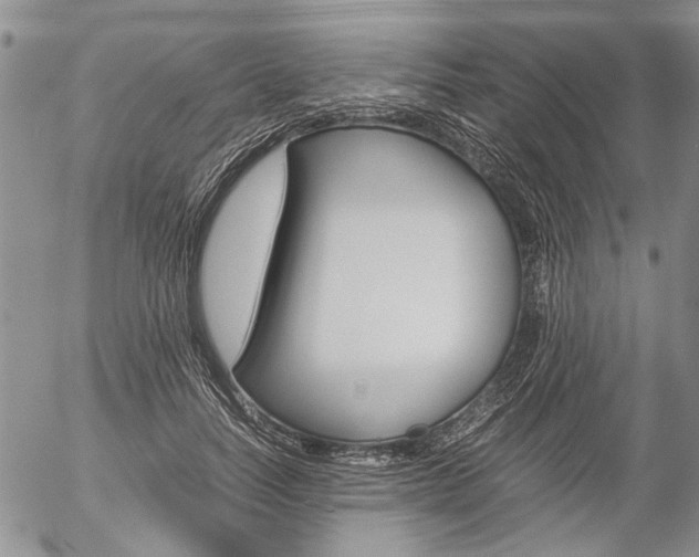 X0000057100746200509090912