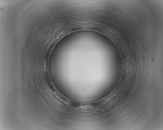 X0000057100752200509090912