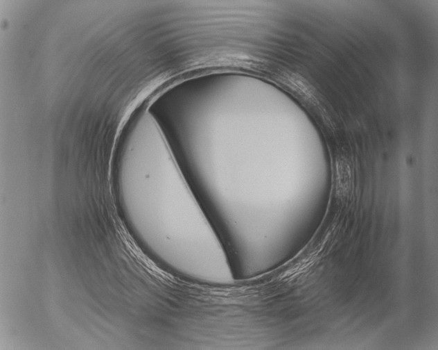 X0000057100780200509090911
