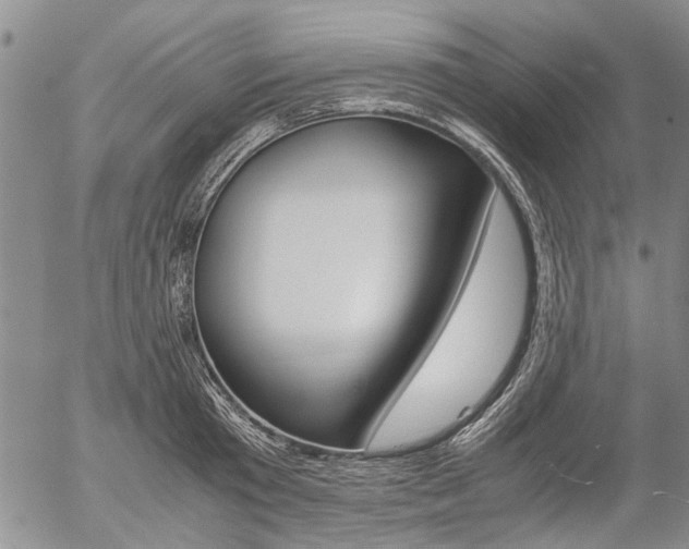 X0000057100801200509090911