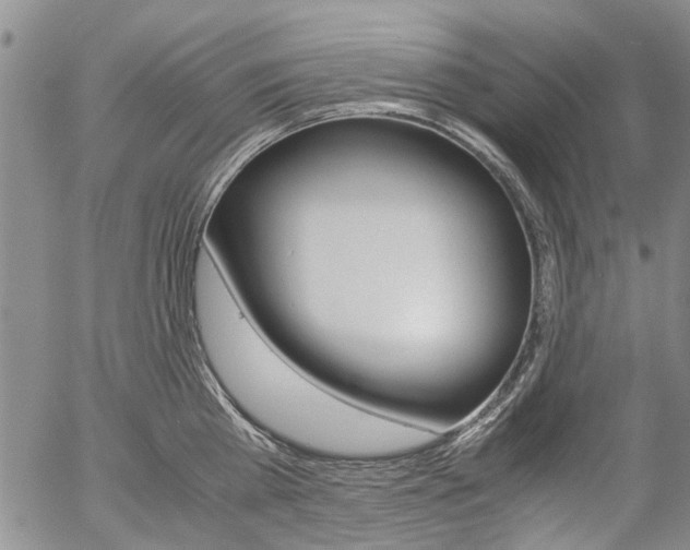 X0000057100809200509090911