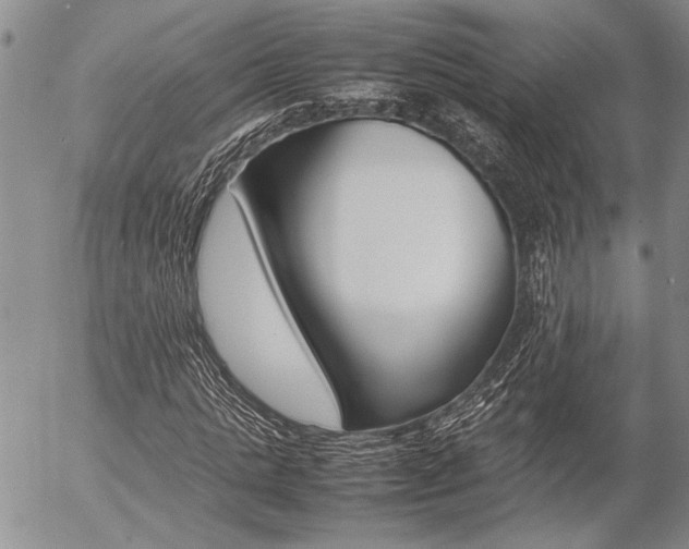 X0000057100821200509090910